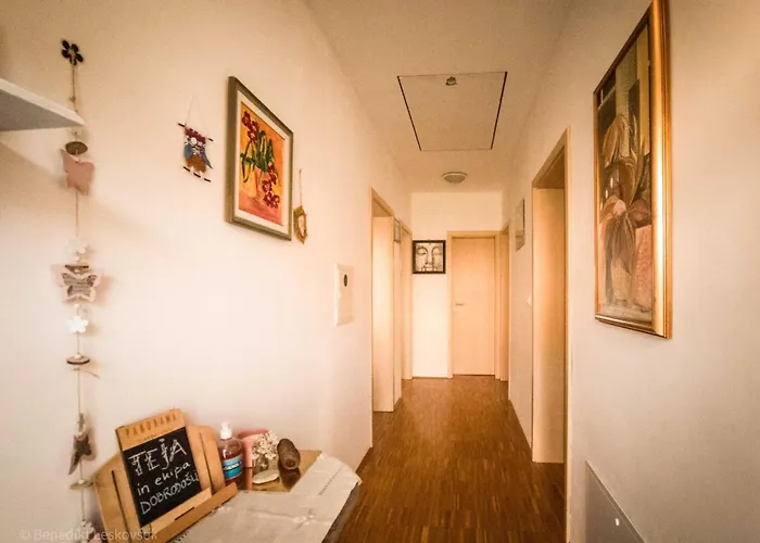 Rustic Refuge Glamping With Hot-Tub And Sauna - Two Bedroom Apartment With Terrace Apartament